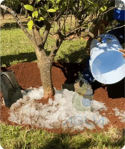 agua agricola 1a
