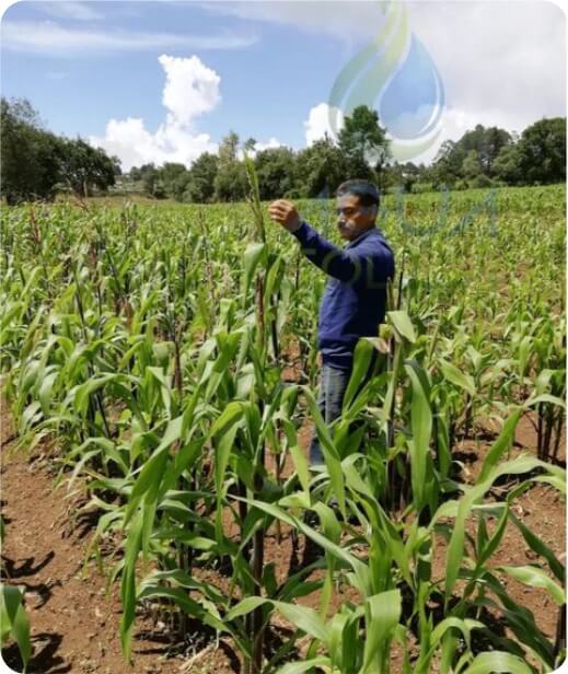 agua agricola 4a